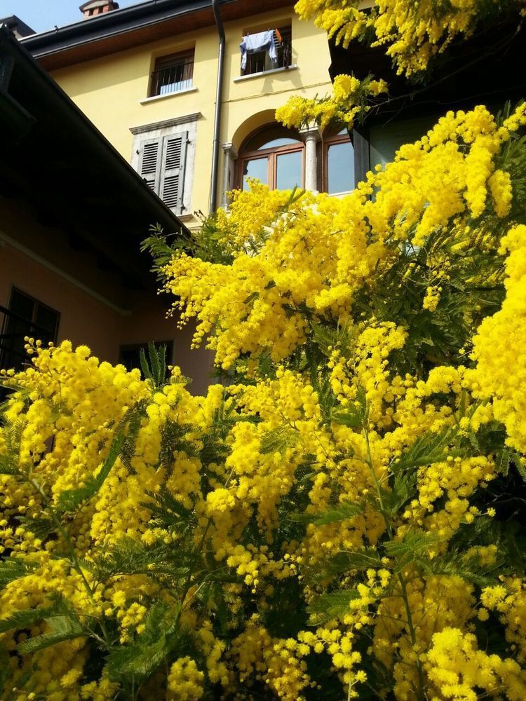 Willa Omas Haus Toscolano Maderno Zewnętrze zdjęcie